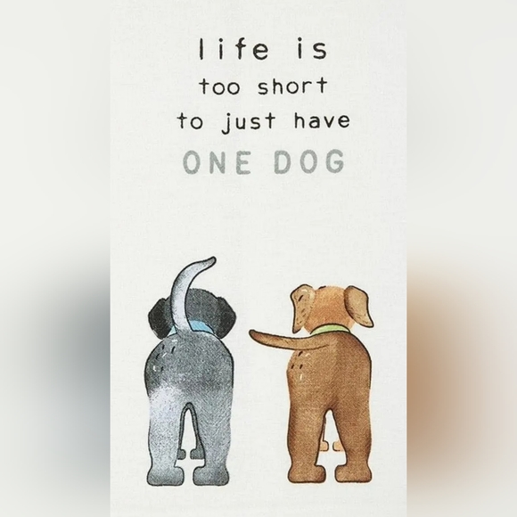 Meet your Posher, Tascha - Picture 11 of 17